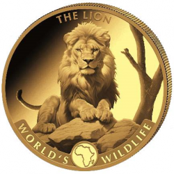 1 oz Lion Congo |Or| 2025