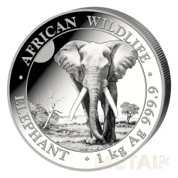 1 kilo Elephant Somalie -...