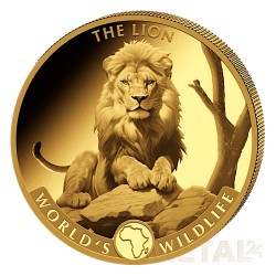 1 oz Lion Congo |Gold| 2025