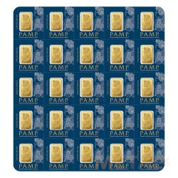 25 x 1 gramme MultiGram -...