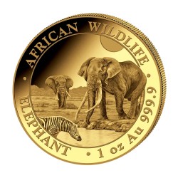 1 oz Elephant Somalie Or |...