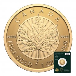 1 oz Maple Leaf -...