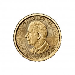 1/10 oz Maple Leaf Charles...