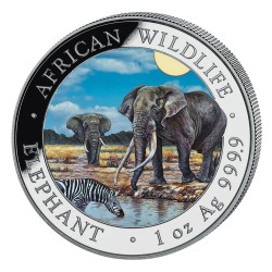 1 oz Elephant Somalia...