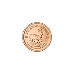 1/10 oz Gold coin...
