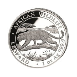 1 oz Léopard Somalie 2026 -...