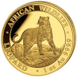 1 oz Leopard Somalie |Or| 2022