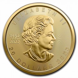 1/2 oz Maple Leaf  |Gold| 2023