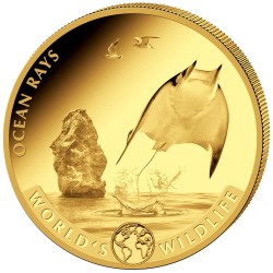 1 oz The Rays Congo |Gold|...