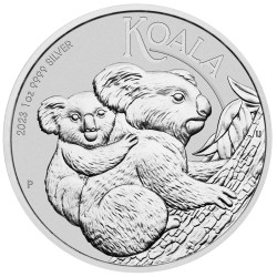 1 kg Koala |Argent| 2023