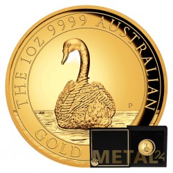 1 oz Cygne d'Australie Haut...