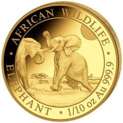 1/10 oz Elephant Somalia...