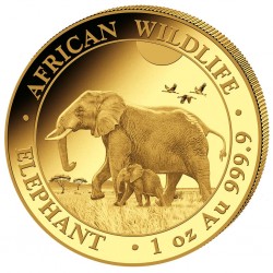 1 oz Elephant Somalie |Or|...