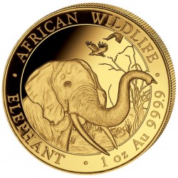 1 oz Elephant Somalia...