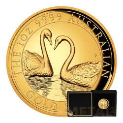 1 oz Cygne d'Australie BE...