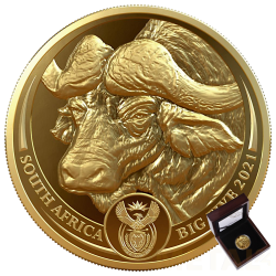 1 oz Big Five Bufallo Proof...