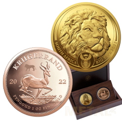 Coffret Big Five Lion +...