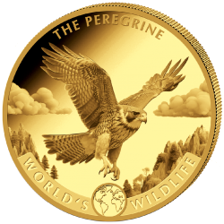 1 oz Peregrine Falcon Congo...