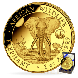 1 oz Elephant Somalia PM...