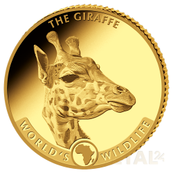 1 oz Girafe Congo |Gold| 2024