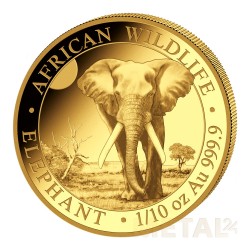 1/10 oz Elephant Somalia...